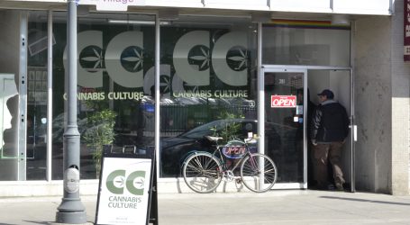 Cannabis crackdown hits new pot shop