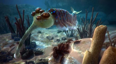 VR brings ancient critters back to life