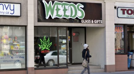 Viewpoint: Confusion reigns with raids, reopenings of marijuana shops
