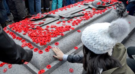 Memorials leading up to Remembrance Day aim to remind Canadians of sacrifices