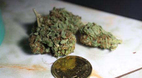 Pricing legal pot will have to take black market into account: parliamentary report