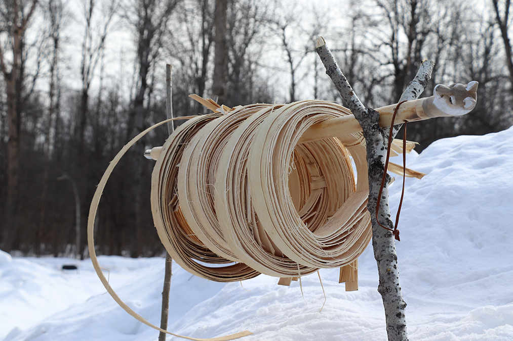 photo 4 rolls of splints hang on a decorative stick suspended between two branches in the snow.