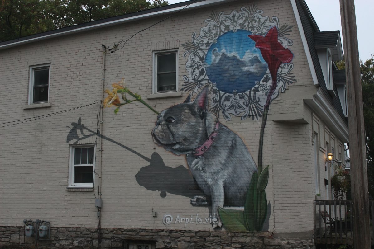 City exempts Hintonburg bulldog mural from bylaw