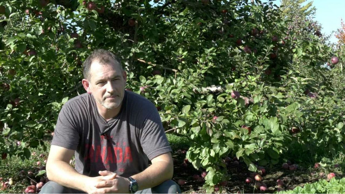 From Apples to Alcohol, the story of Ottawa’s first hard cider