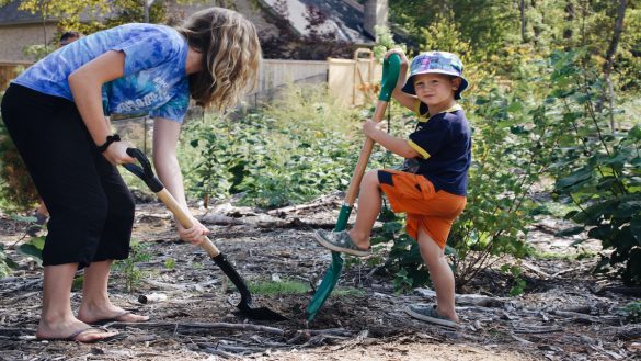 Young boy and woman help to plant trees