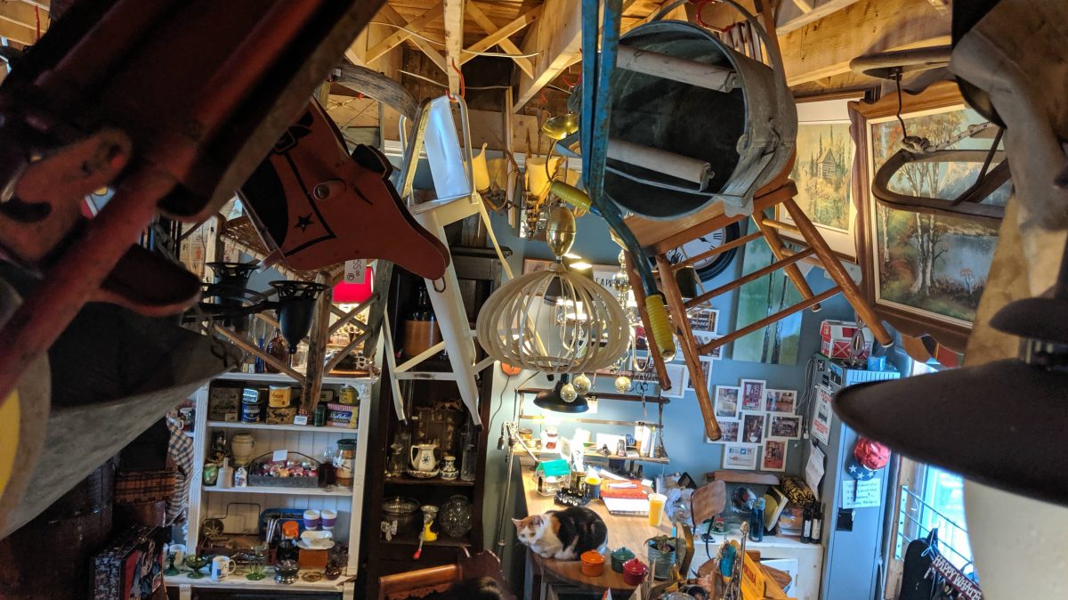 Many objects and chairs hang from the ceiling. A cat is also visible sitting on the counter. 