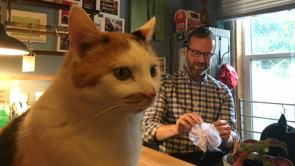 The cat sits on the counter in the forefront while the man folds a white paper flower in the back. 