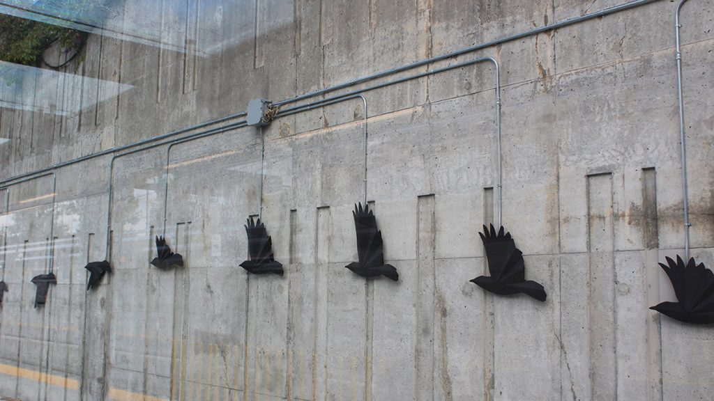 Crows fly along as trains zoom by the concrete wall at Lees station. 