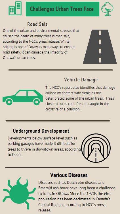 An infographic of urban trees