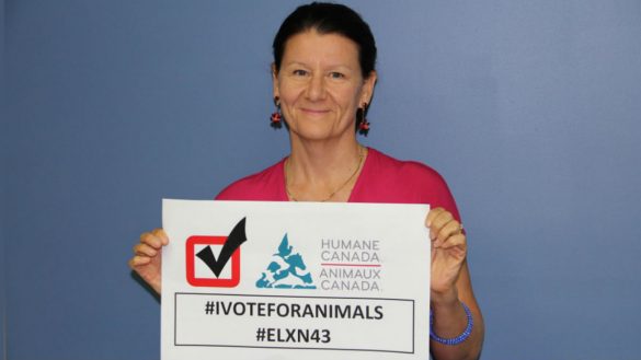 Barbara Cartwright, CEO of Humane Canada holding an election sign that reads #VoteForAnimals and #ELXN43