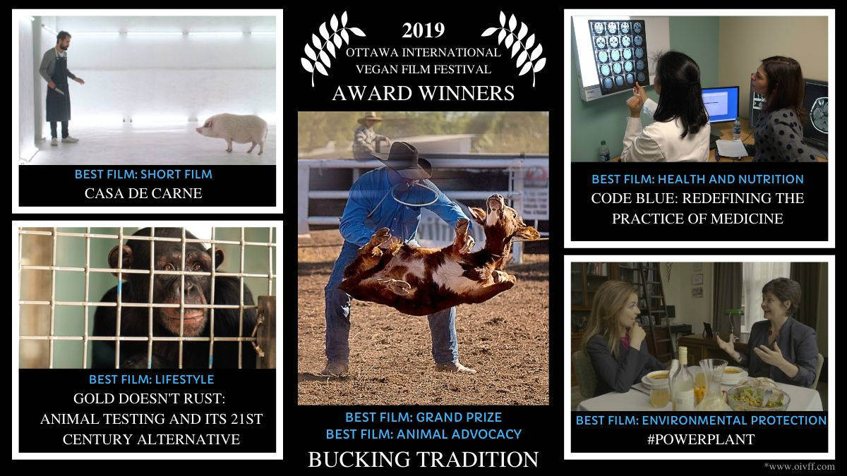 A graphic showing the Ottawa International Vegan Film Festival Award Winners. "Bucking Tradition" won Best Film for Animal Advocacy and Best Overall Film. "Casa de Carne" won Best Short Film. "Gold Doesn't Rust, Animal Testing and Its 21st Century Alternative" won for Best Lifestyle film. "Code Blue, Redefining the Practice of Medicine" won Best Health and Nutrition film. "#Powerplant" won Best Environment Protection film.