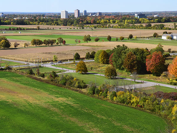 The Central Experimental Farm.