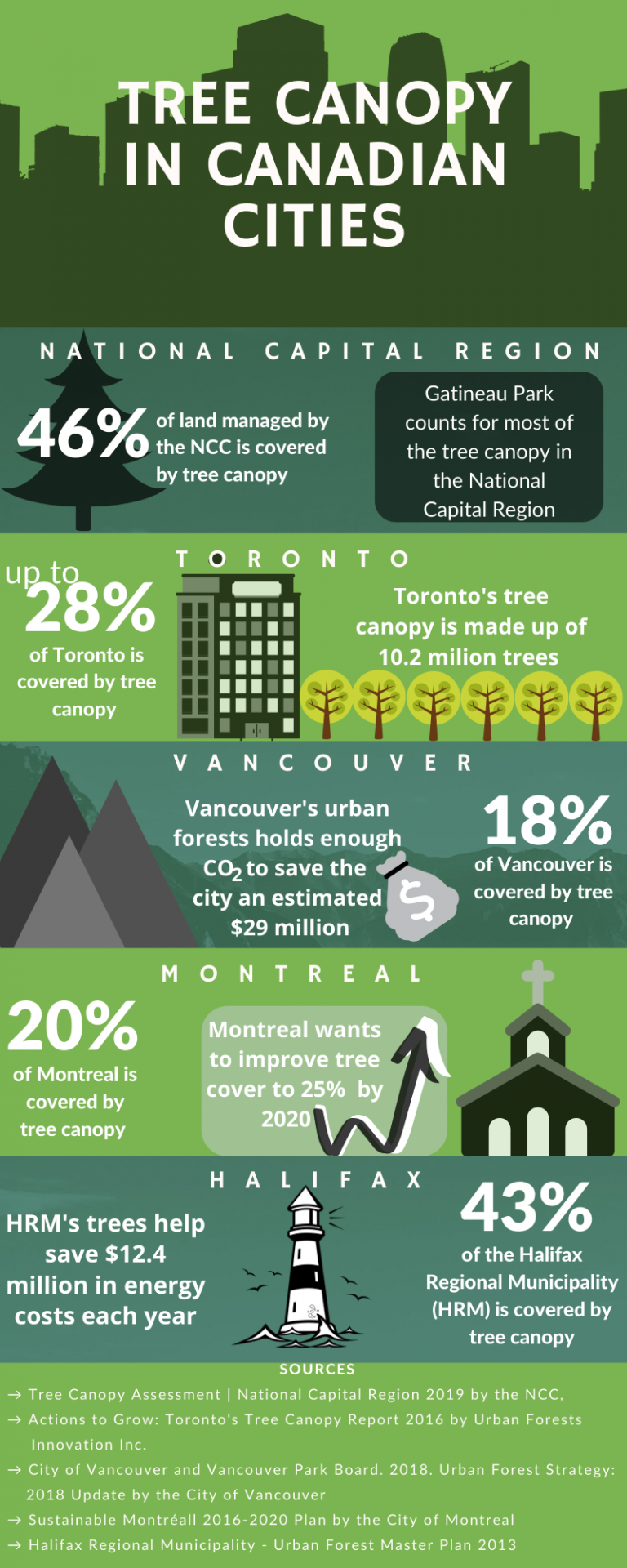 OttawaGatineau leads Canadian cities in tree cover Capital Current