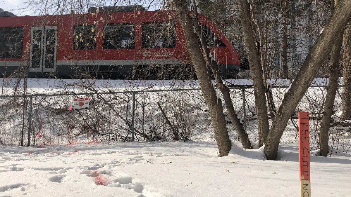 Trees get the chop as construction of Stage 2 of LRT proceeds through Carleton campus