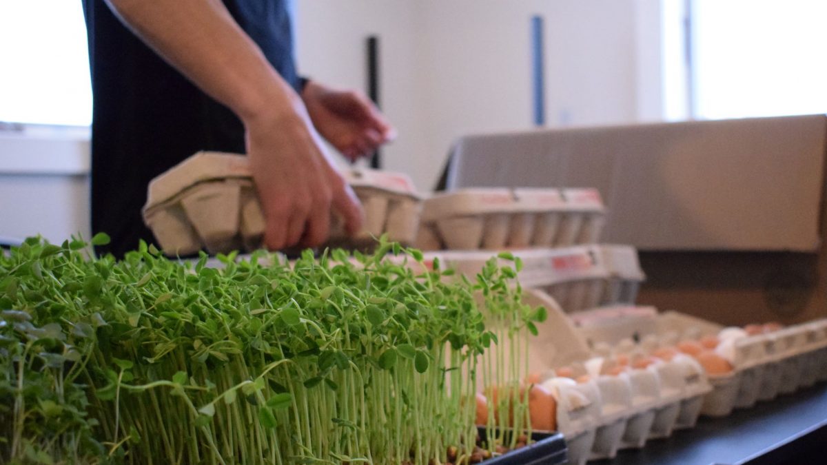 Brett Weddle setting up his stand, featuring eggs and greens, at the Just Food barn on Feb. 03