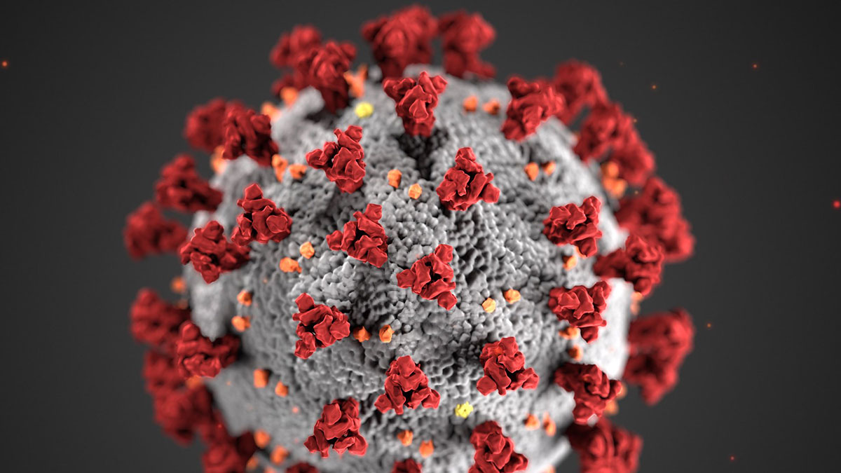 Ottawa’s first coronavirus case confirmed