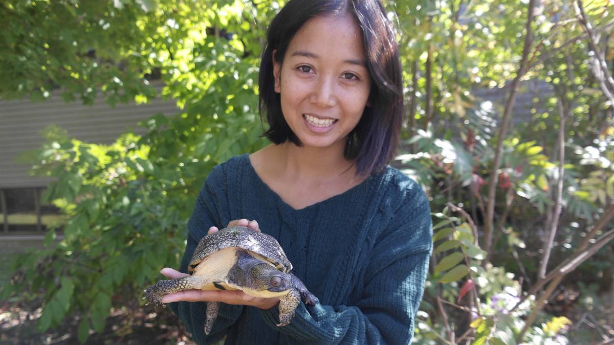 Clare Stone holds up a Blanding's turtle for display