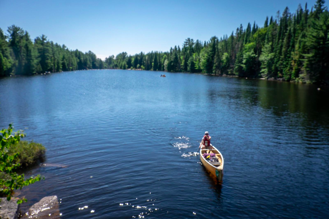 A paddler in Algonquin Park, a few hours drive north of Toronto.