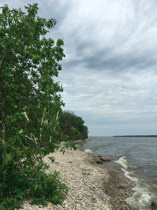 The shores of Lake Winnipeg in Hecla-Grindstone Provincial Park.