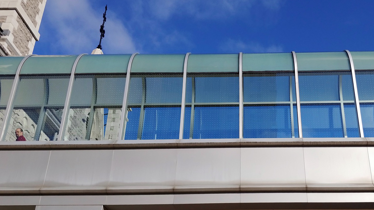 The glass walkway at Ottawa City Hall has been retrofitted with a grid of small white dots to be bird-friendly.