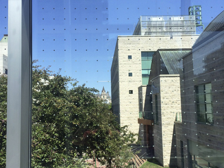 The glass walkway at Ottawa City Hall has a gird of small white dots on it. This retrofitted addition helps prevent birds from colliding into the reflective surface. 