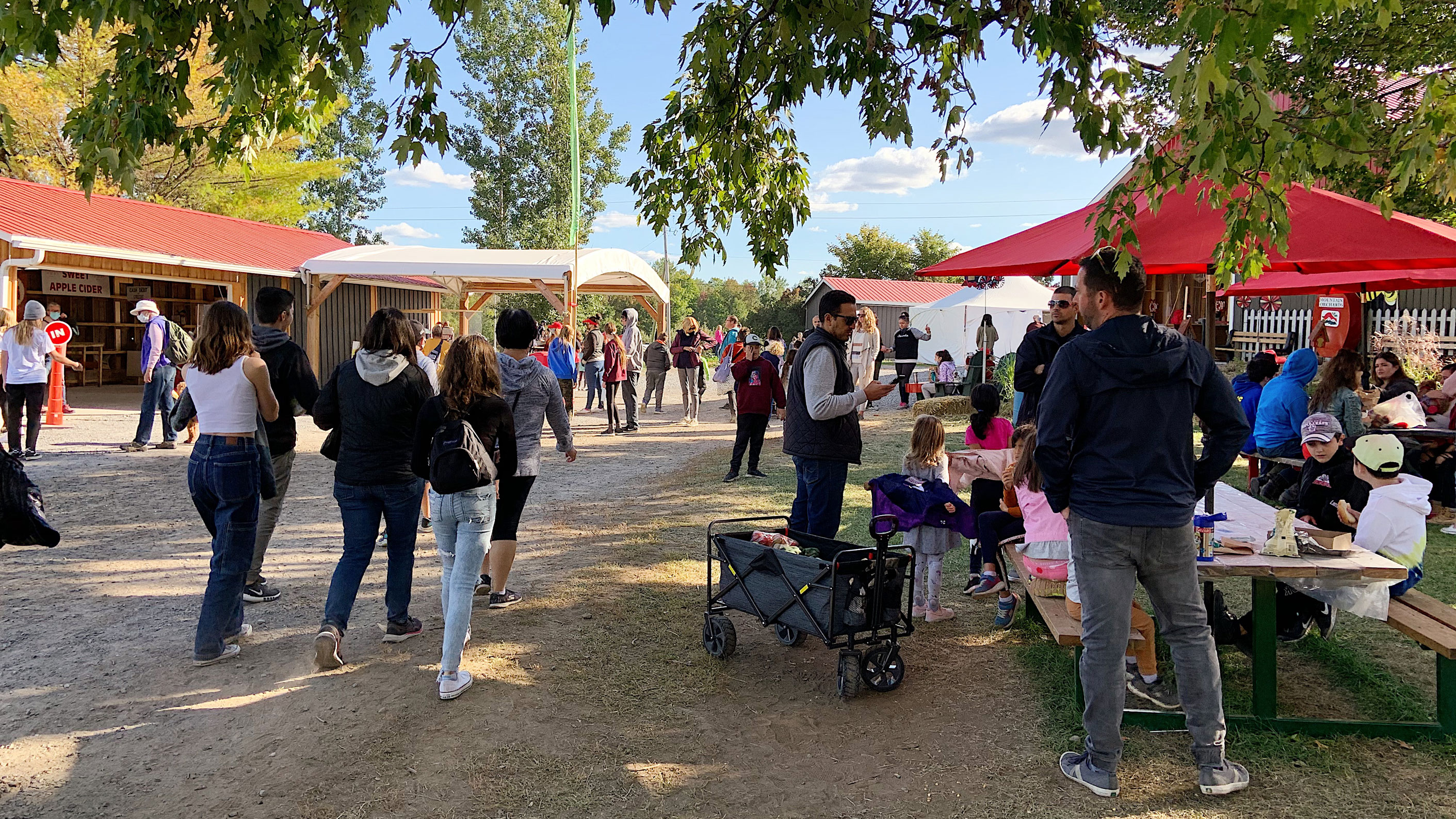 Perfect weather driving massive crowds to apple orchards, forcing managers to tighten COVID rules