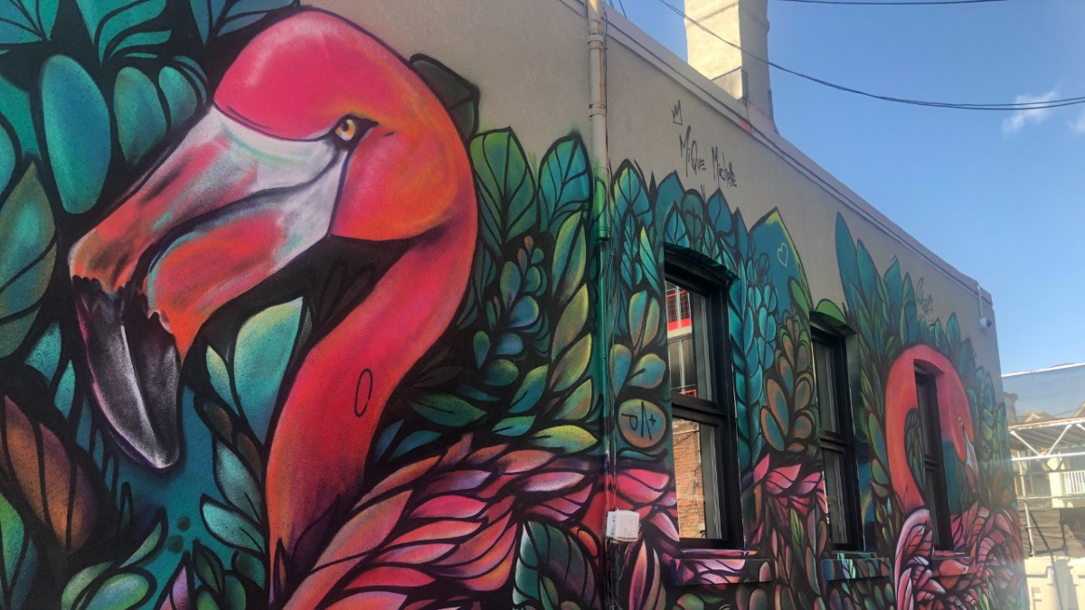 A large pink flamingo head painted on a wall faces left. Blue and green foliage are painted around it. Further down the wall another pink flamingo head faces to the right.