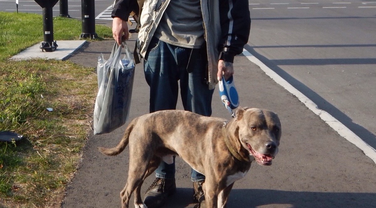 Ron, who is unhoused, and his dog Niko stand on the sidewalk at the Bronson and Catherine intersection.