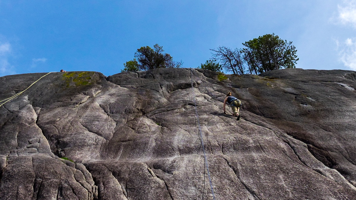 A woman photographed from the bottom of a rock face who is climbing up.