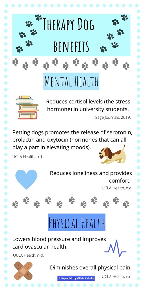 Infographic describing the benefits of therapy dogs.