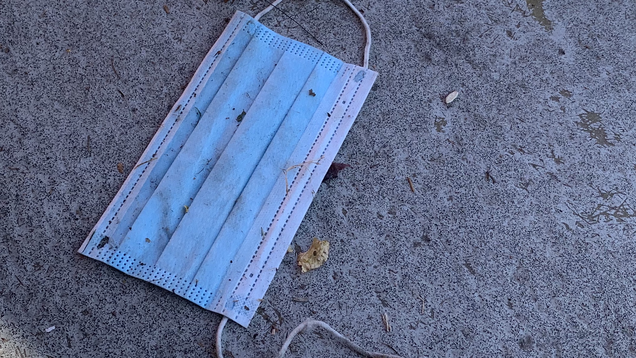 Discarded single-use mask on the ground