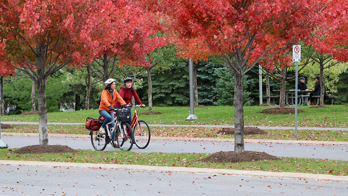 Two women ride bikes on a path through red trees