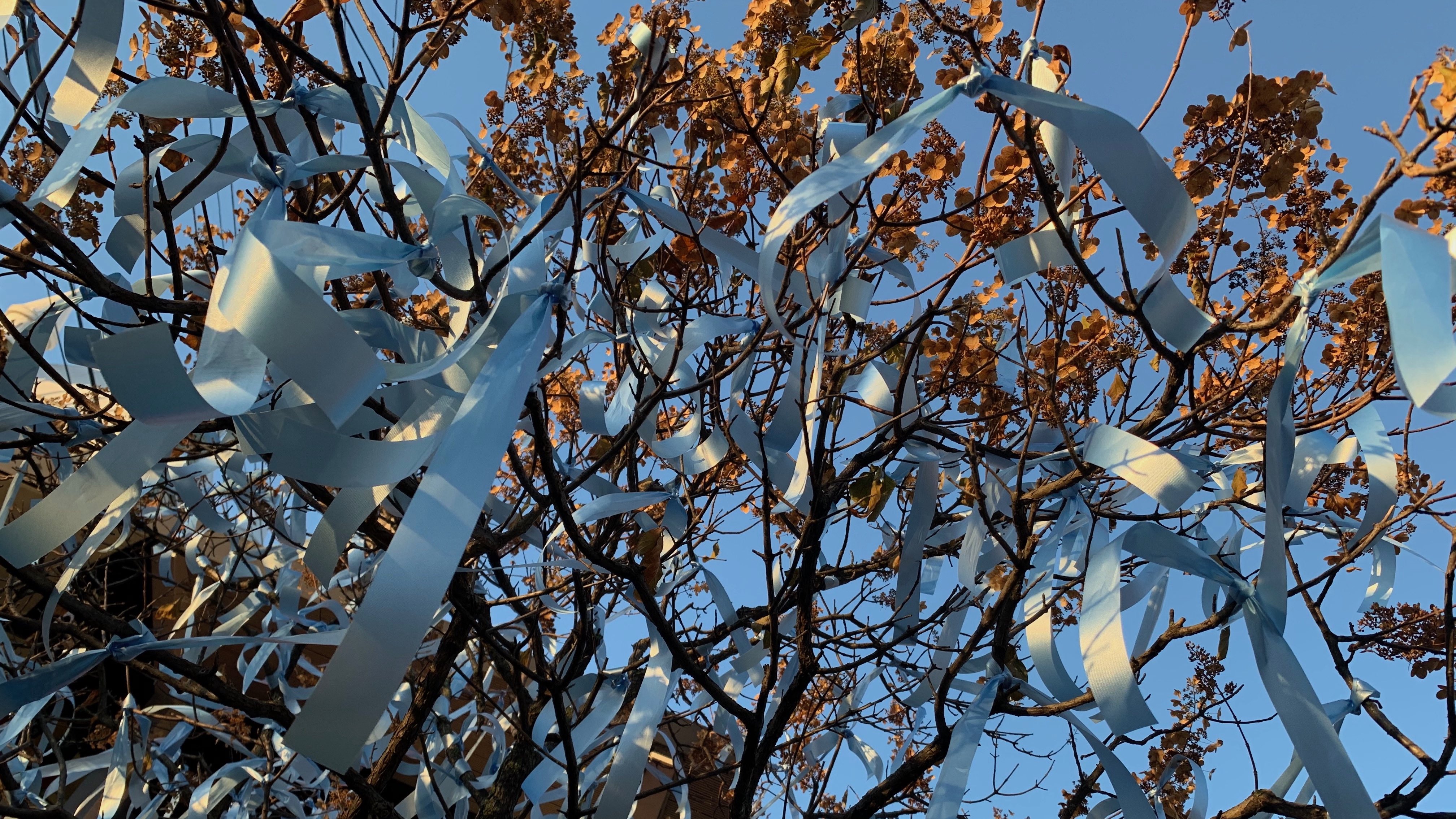 Ribbons of remembrance: Ottawa church dedicates COVID tree to honour victims, soothe community’s grief