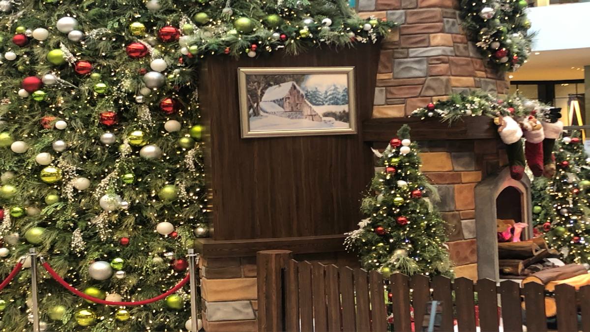 christmas trees covered in gold and silver ornaments