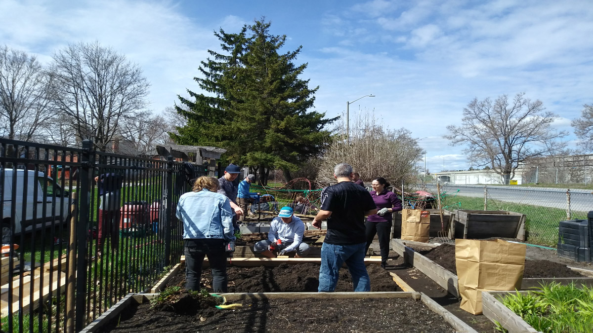 A group of people working in garden plots under blue skies.