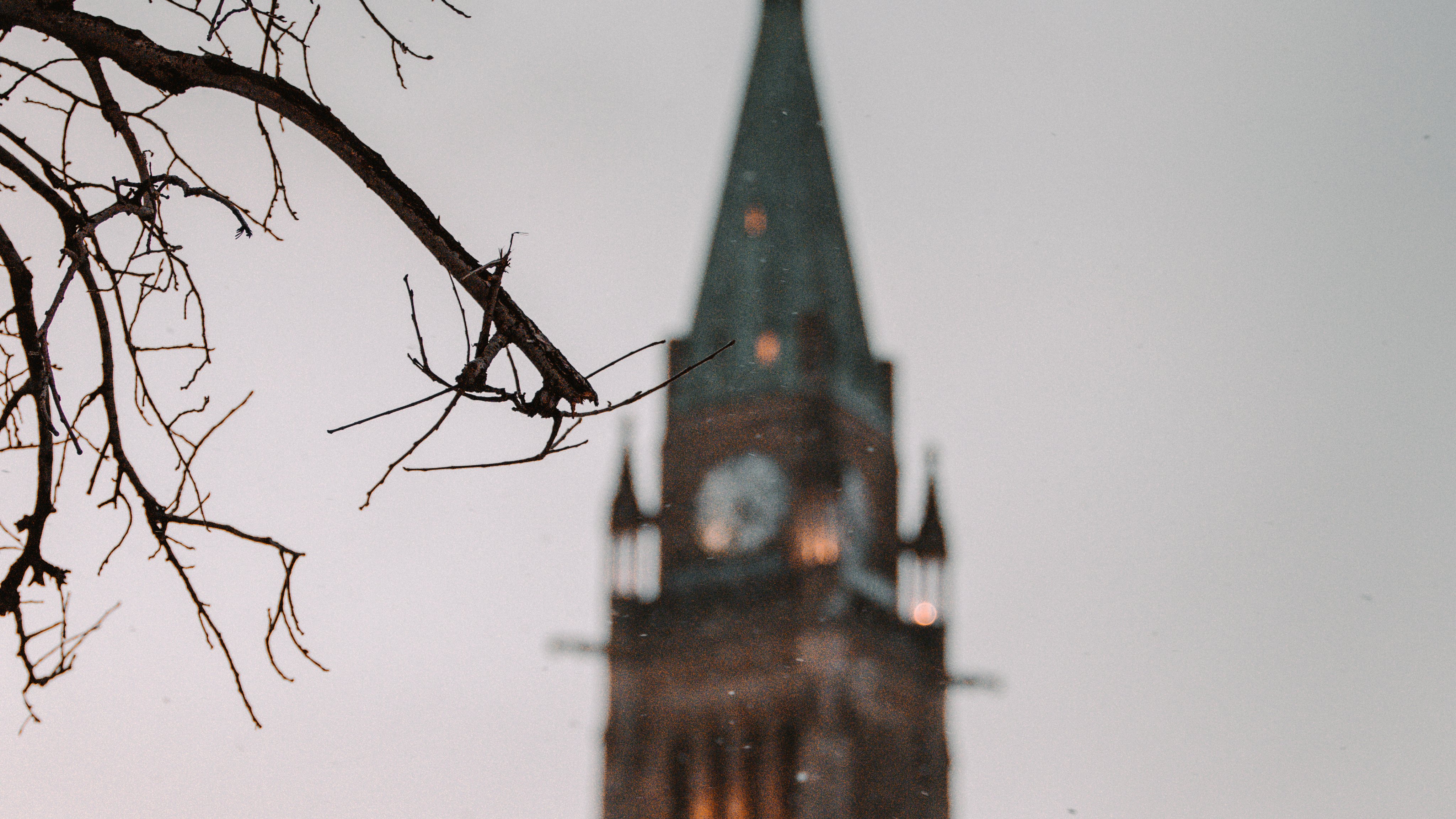 The Peace Tower with a tree branch in focus