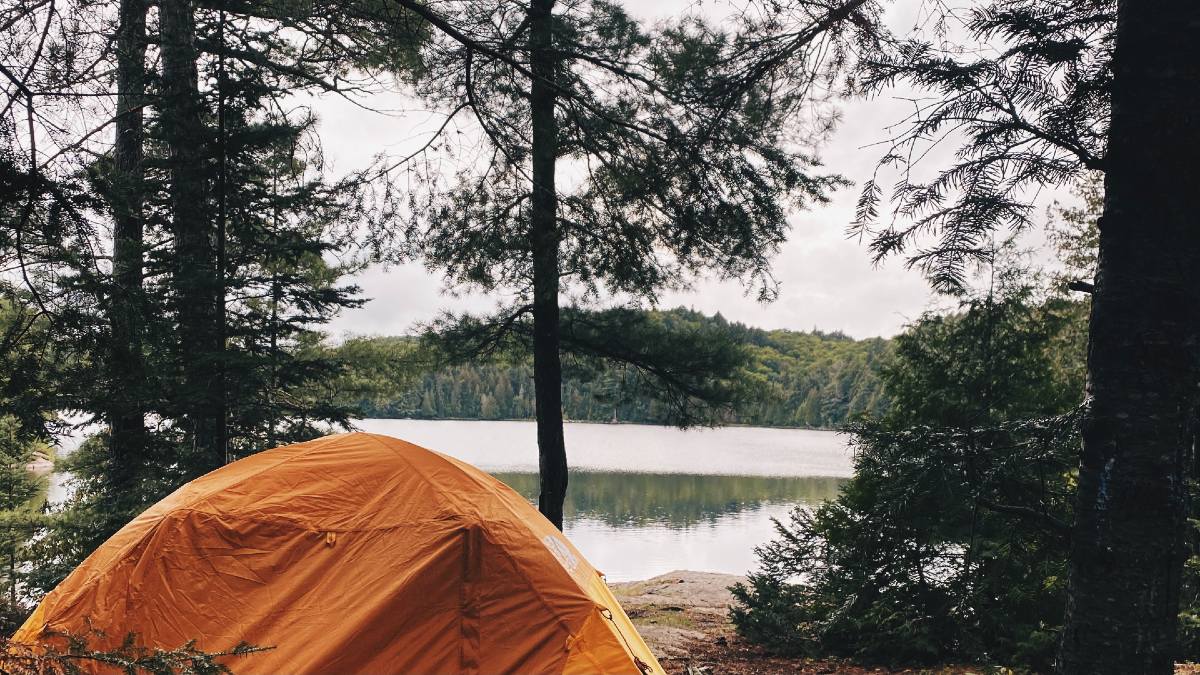 Tent in forest