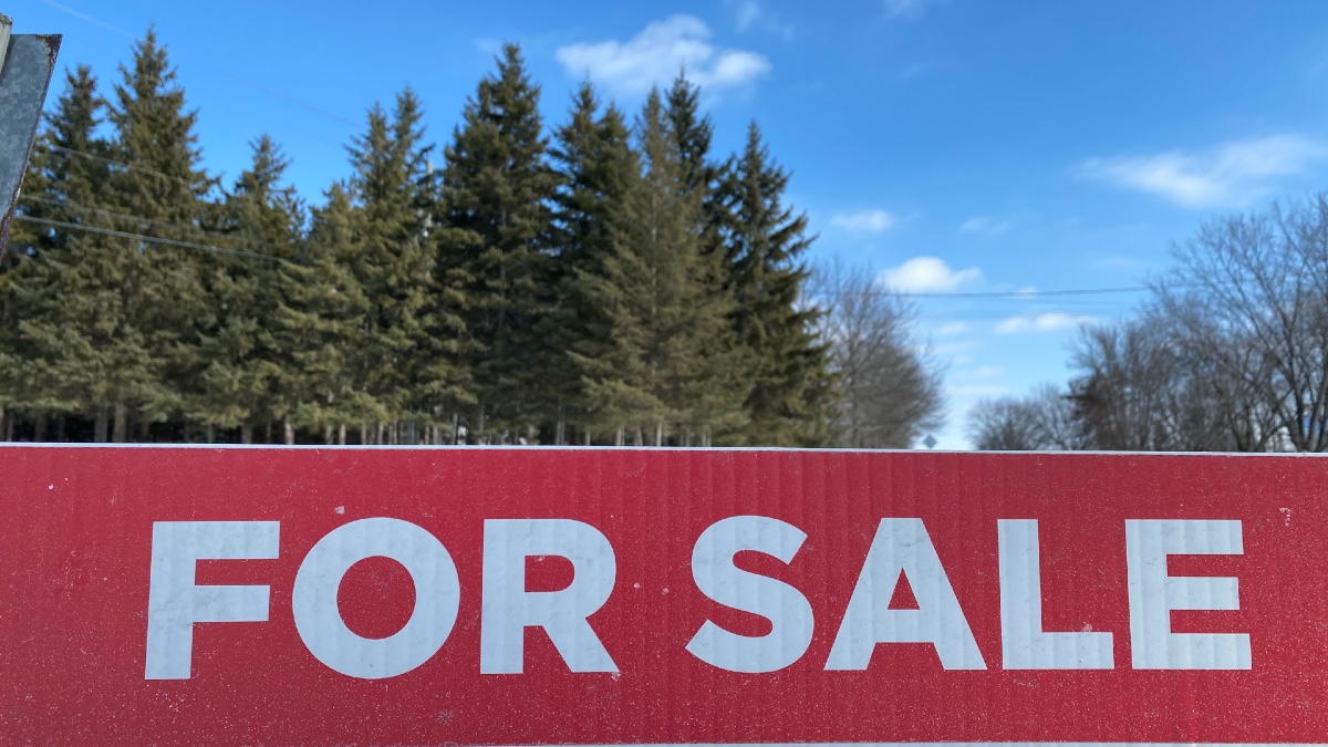 FOR SALE in white letters against red with tall pine trees and blue sky in the background