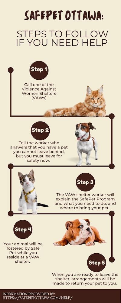 This is an infographic which explains the ways in which victims of domestic abuse can get help for themselves and their pets. 