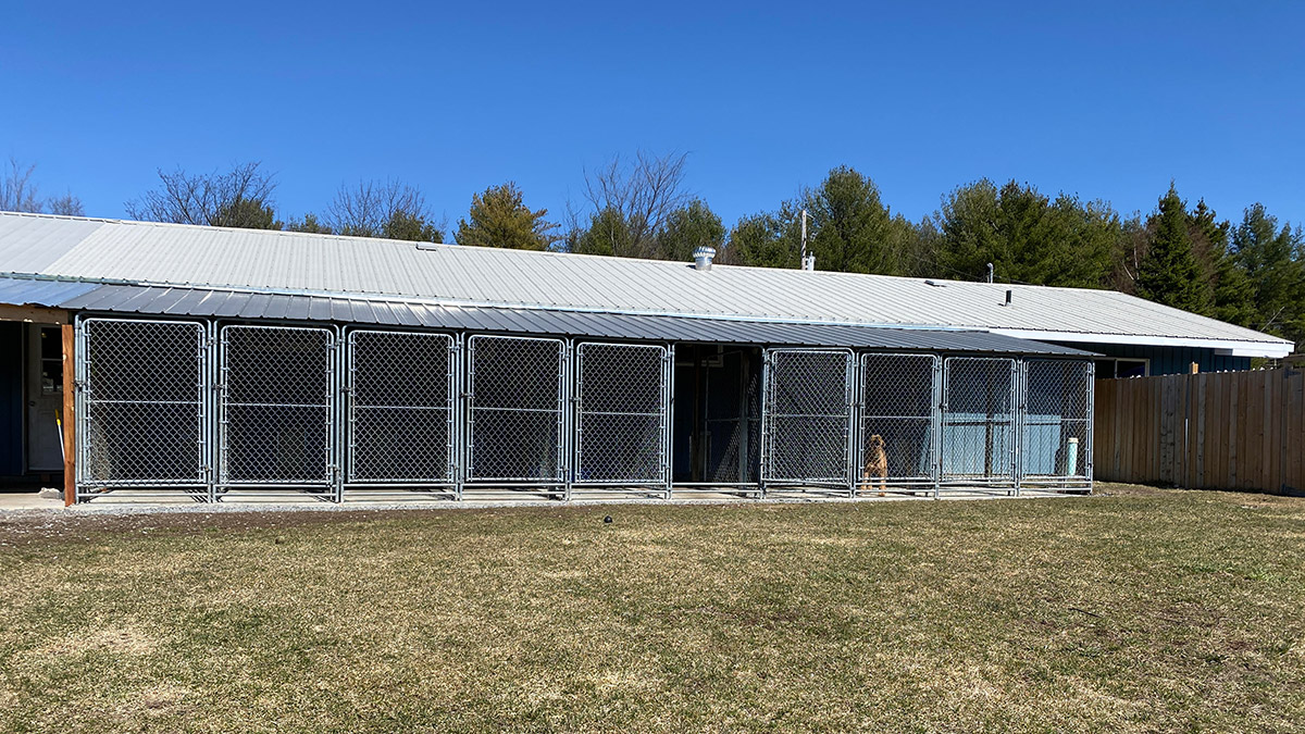 A dog sits alone in a kennel.