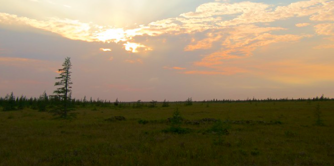 Hudson Bay Lowlands photos