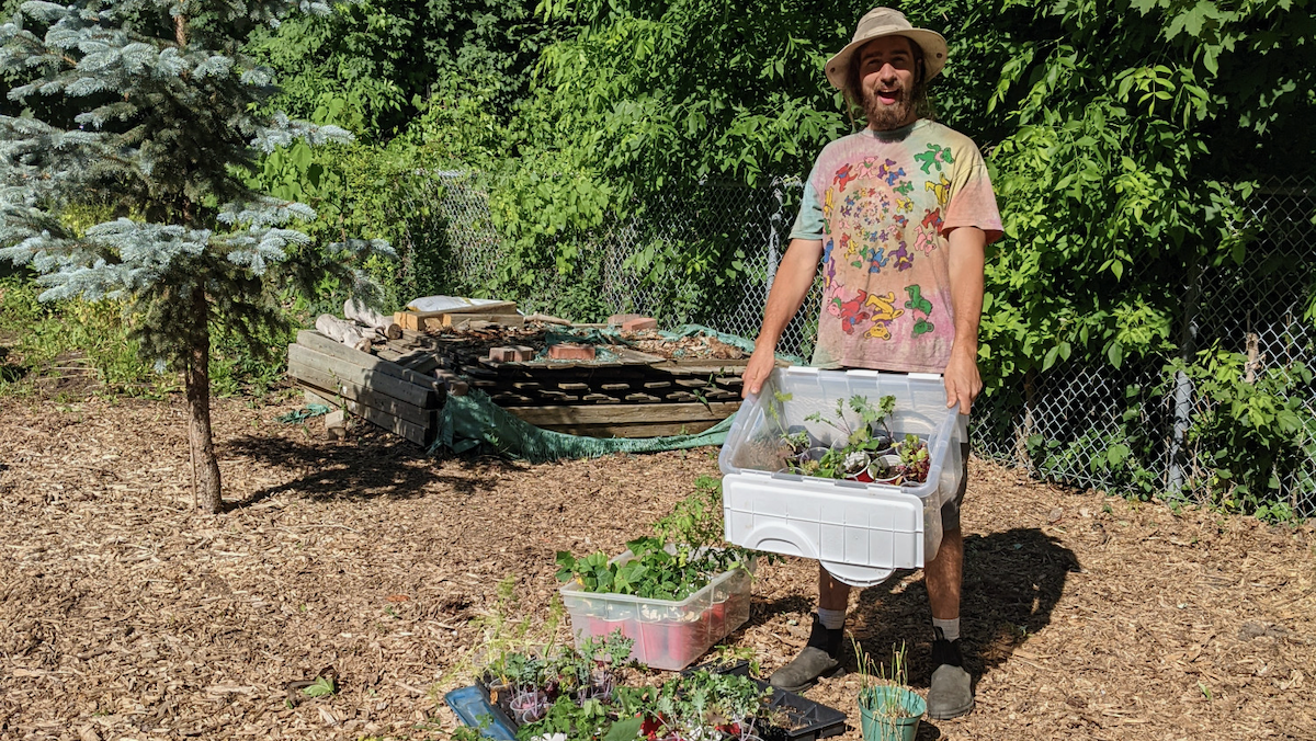 A man standing with a bunch of plants to garden with.