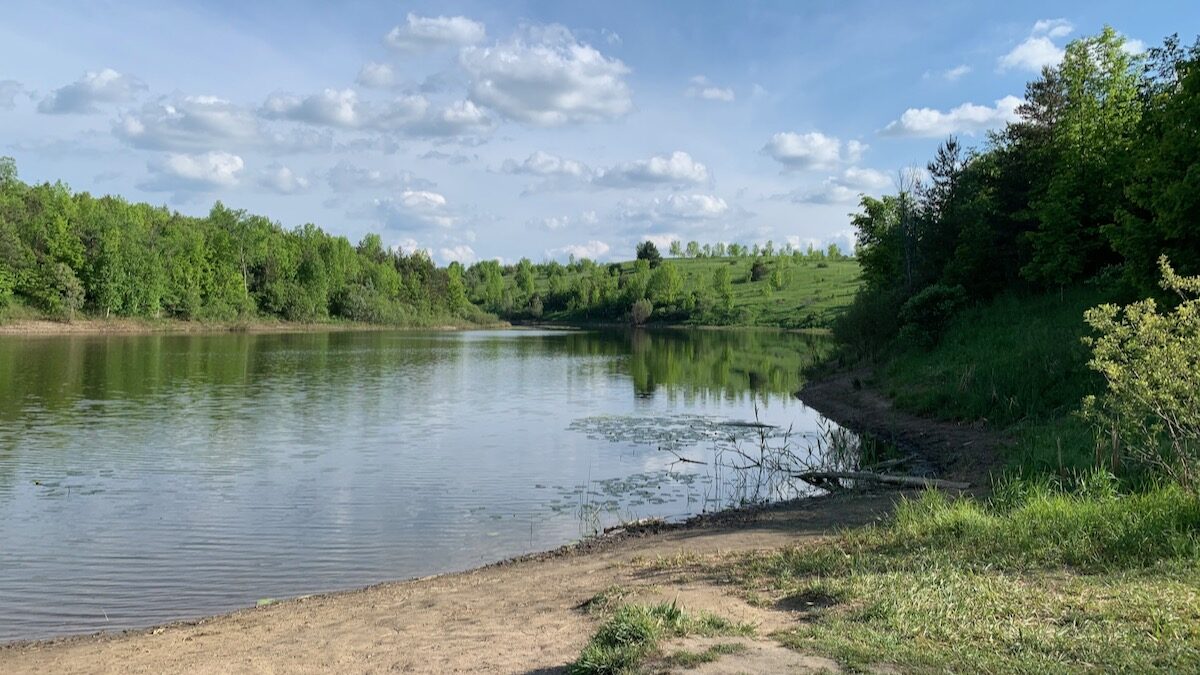 Concern over conservation rising as number of visitors to Ontario parks soars