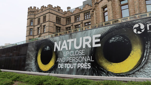 A promotional banner in front of a museum that reads "Nature up close and personal", with large yellow owls eyes.