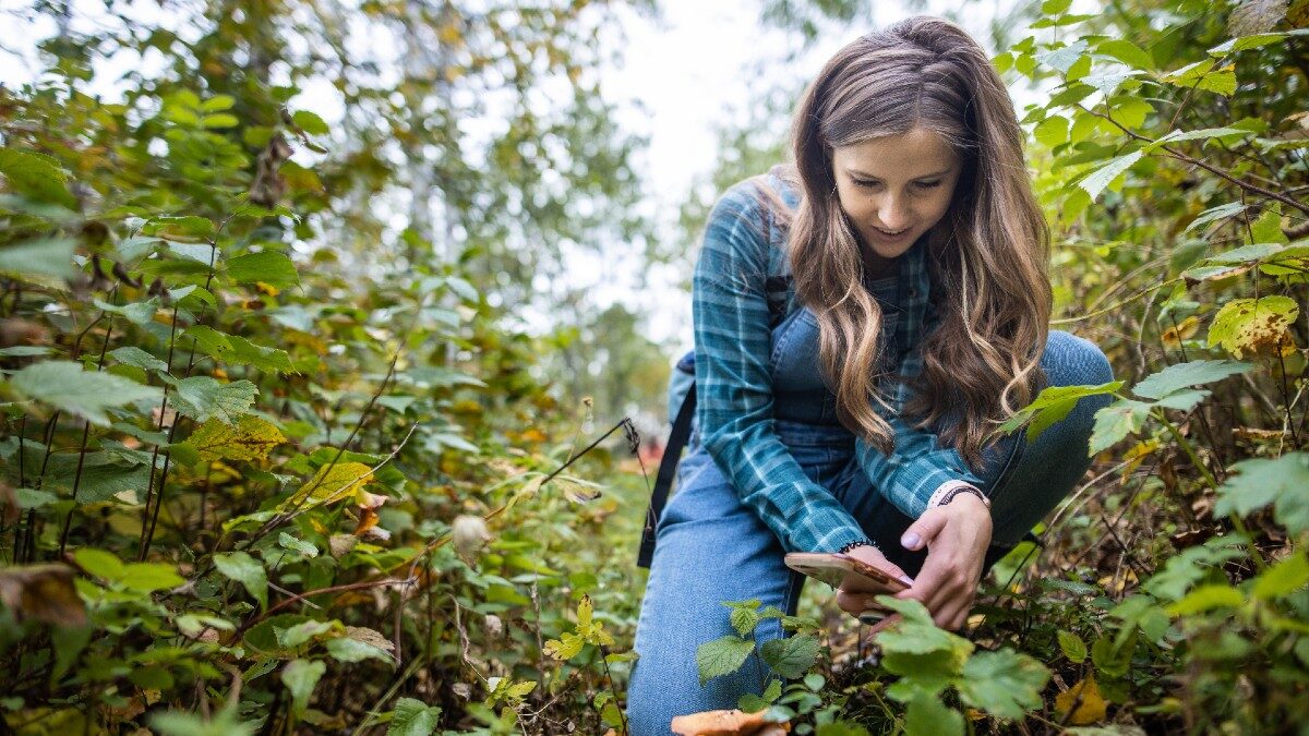 Second Backyard BioBlitz connects people with nature