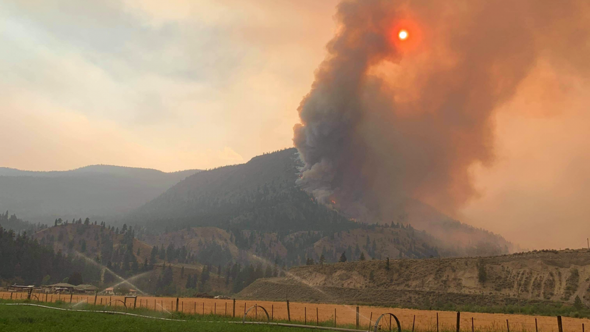 B.C. fires continue to burn, putting local ranchers at risk of losing property, animals and livelihoods