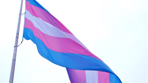Transgender flag on a pole