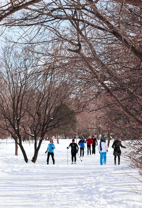 A group of people skiing on winter trails on a sunny day in central Ottawa