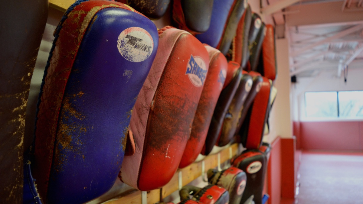 Hand blockers line the back wall of the studio. Blockers range in colour from black, blue and red. 