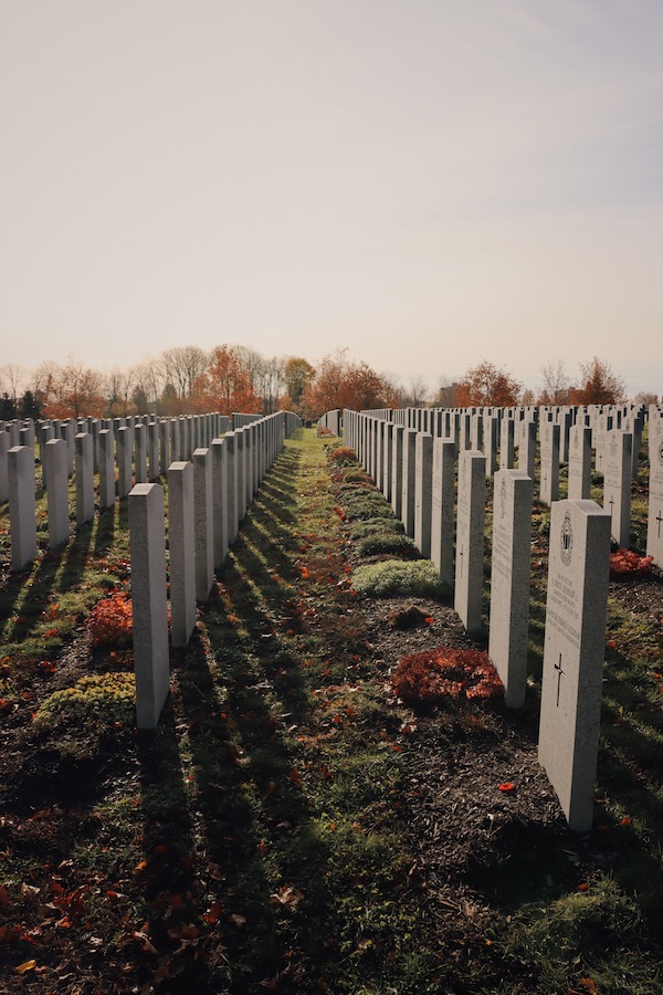 Looking down between the rows of headstones, small bushes of red and green against the green grass and fallen red leaves, underneath a hazy morning sky.